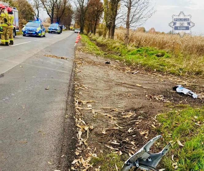 Tragiczny wypadek na DW924. Nie żyje motocyklista