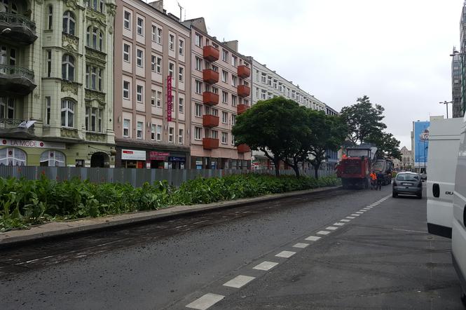 Masowa wycinka drzew dotknęła ulicę Święty Marcin. Mieszkańcy oburzeni!