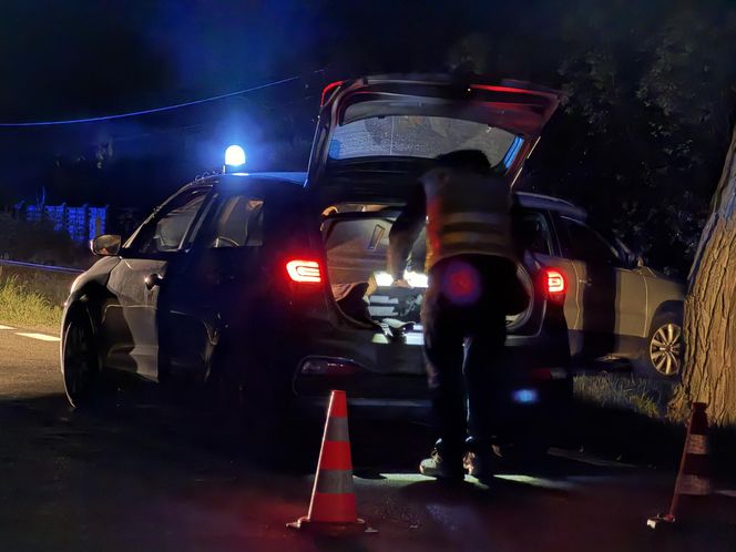 Śmiertelne potrącenie pod Sochaczewem. Kierowca BMW uciekł