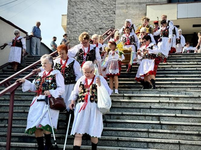 Dożynki miejskie w Jaworznie