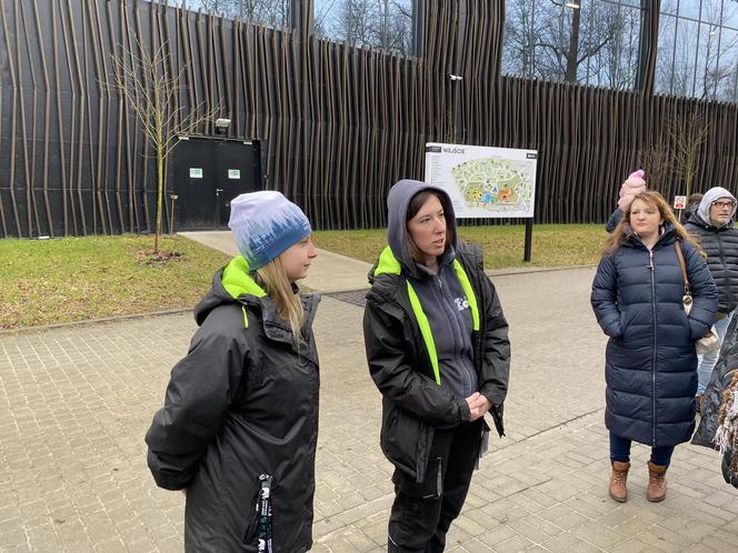 Dzień kota w łódzkim zoo. To doskonała okazja na obserwowanie nowego osobnika