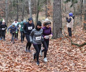 Katowicki City Trail jak zwykle ze znakomitymi biegaczami i biegaczkami. Zobacz zdjęcia ze sportowej imprezy