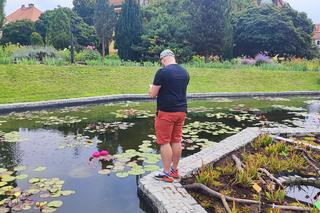 To jeden z najpiękniejszych ogrodów botanicznych w Polsce. Znajduje się na Dolnym Śląsku 