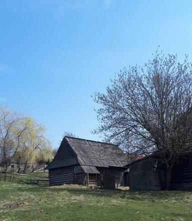 Trzydzieści pudeł ludzkich szczątków odnalezionych w Małopolsce