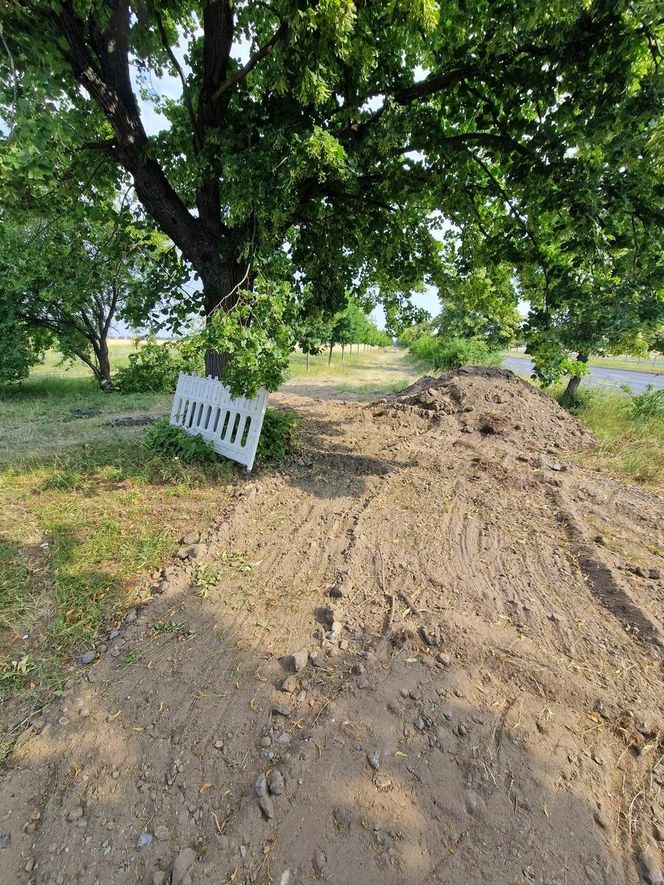 Budowa ścieżki rowerowej wzdłuż Alei Konstytucji 3 Maja