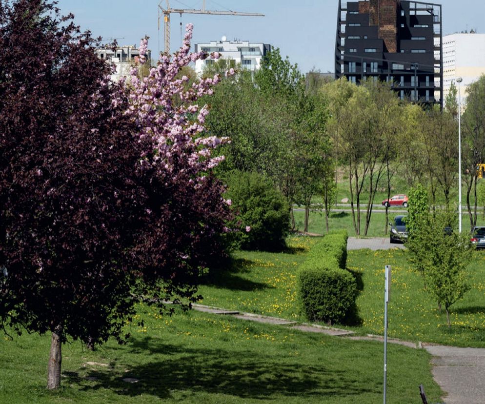 Nowoczesny czarny budynek mieszkalny Żorro pracowni Frantgroup architekta Macieja Franty w Żorach na tle zieleni i kwitnących drzew, z dźwigiem budowlanym w oddali. Więcej o tej realizacji znajdziesz na Architektura Murator Plus.