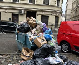 Raj dla szczurów w centrum Wrocławia. Z pięknej ulicy zrobiło się śmierdzące wysypisko śmieci 