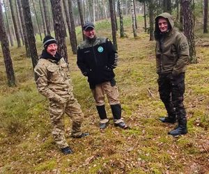 Cenne odkrycie w Borach Tucholskich. Za jedną taką srebrną monetę Krzyżacy kupowali bochenek chleba czy garść soli