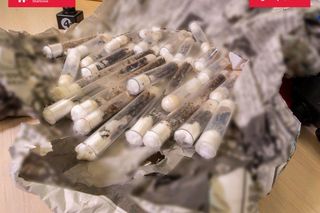 Mrówki ukryte w zabawkach