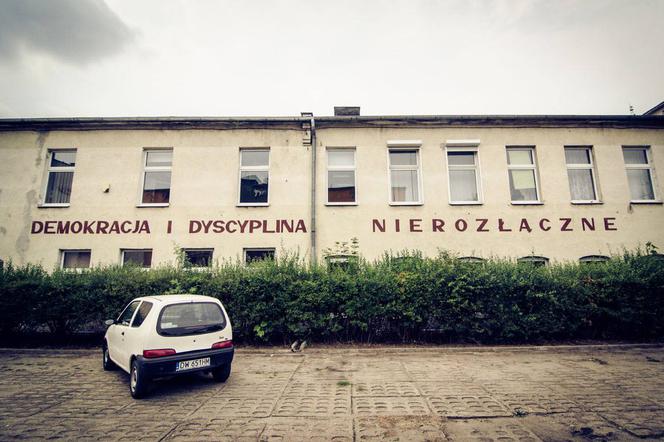 Demokracja i dyscyplina? Nierozłączne! [ZDJĘCIE]