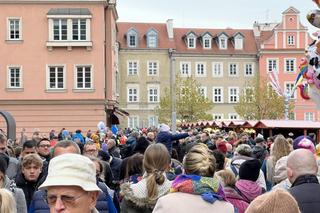 Miejskie obchody Dni Świętomarcińskich