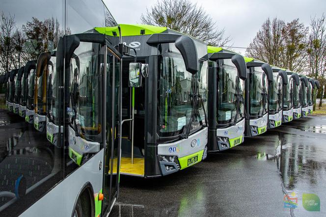 Nowe autobusy w Olsztynie. Komunikacja miejska coraz lepsza