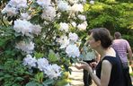 Arboretum w Rogowie
