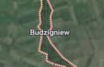 Budzigniew