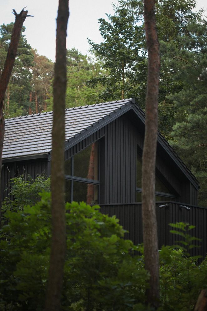 Dom w stylu nadwiślańskiej architektur