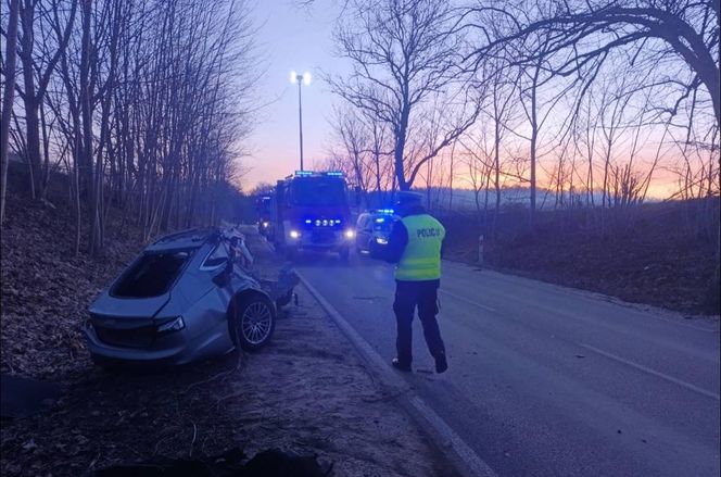 Sopieszyno. Audi roztrzaskało się na drzewie. 36-latek nie miał szans na przeżycie