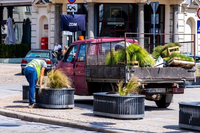 Warszawa jak ogród – prace ogrodnicze