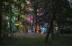Olsztyn zamienił się w magiczną krainę. Park Świateł przyciągnął tłumy!