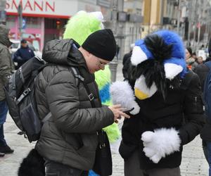 32. Finał WOŚP w Kielcach. Tak Orkiestra grała na deptaku i Placu Artystów