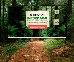 Polacy wierzą w mity o lasach 