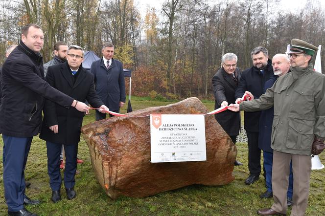 Aleja Polskiego Dziedzictwa Śląska w Katowicach