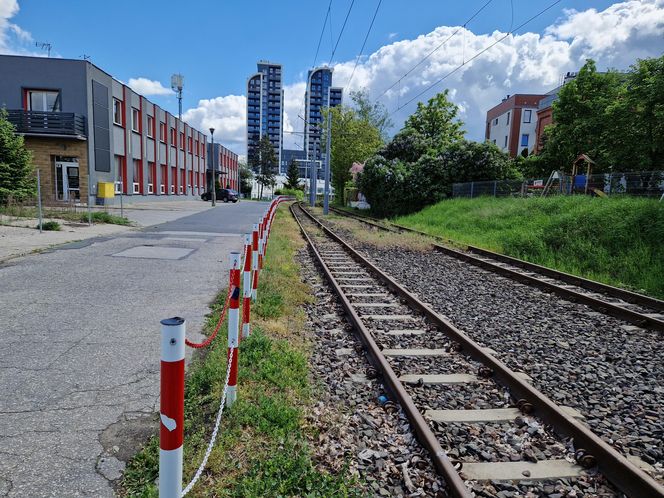Torowisko tramwajowe na Babiej Wsi w Bydgoszczy zarośnięte chwastami. Tramwaje zniknęły stąd lata temu