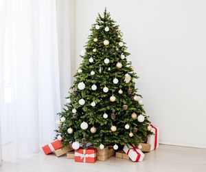 Świąteczne choinki w bieli