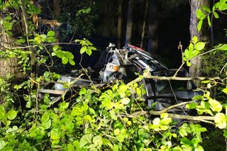 Kierowca seata nie żyje. Auto roztrzaskało się na drzewie. Tragiczny wypadek na DK 65