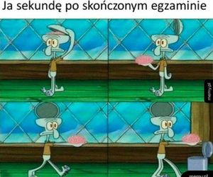 Egzamin ósmoklasisty 2025 r. - memy