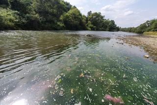 Zanieczyszczenie Raby