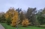 To najlepszy park w Olsztynie na jesienny spacer. Wyboru dokonała sztuczna inteligencja