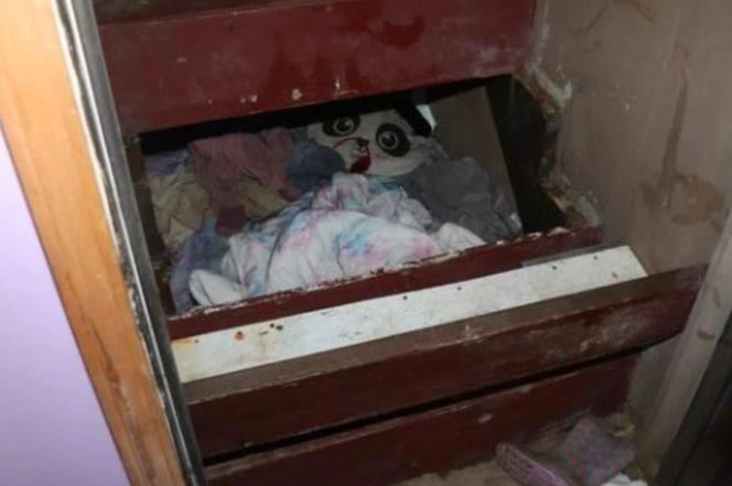 Odnaleźli zaginione dziecko po dwóch latach! 6-latka ukryta w schowku pod schodami