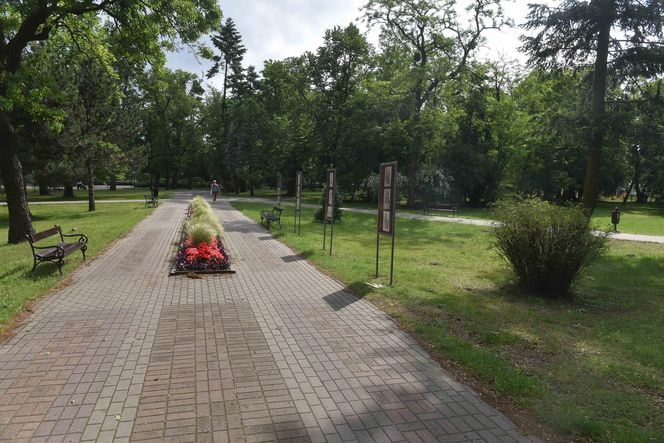 Cicho i pusto w Ciechocinku. Gdzie się podziali kuracjusze-utracjusze?