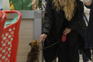 Bond zwęszył prezenty