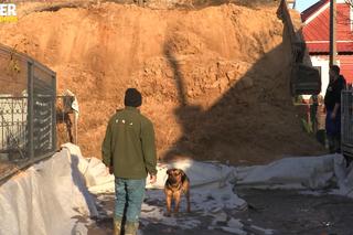 Rolnicy. Podlasie. Andrzej z Plutycz robi rewolucję. Jest jedno ale. Bez tego pieniądze pójdą w błoto [ZDJĘCIA, WIDEO]