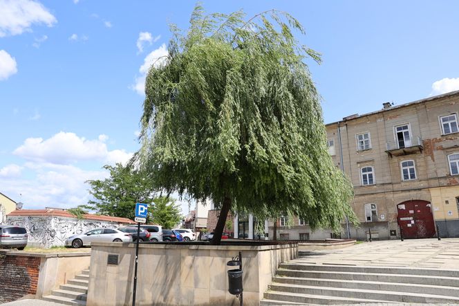 Tak wygląda pl. Rybny w Lublinie przed remontem