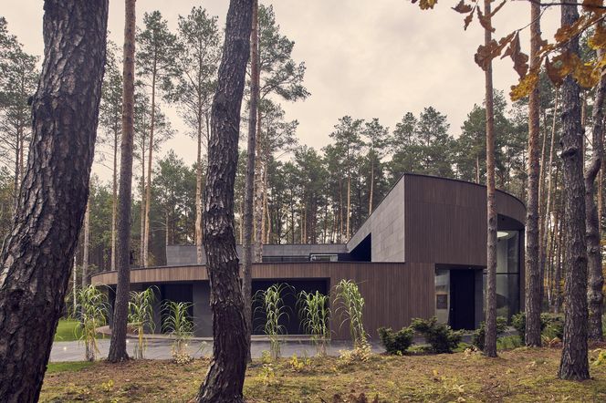 Circle Wood House wg projektu Przemka Olczyka z pracowni Mobius Architekci