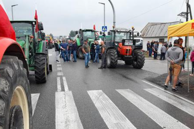 protest
