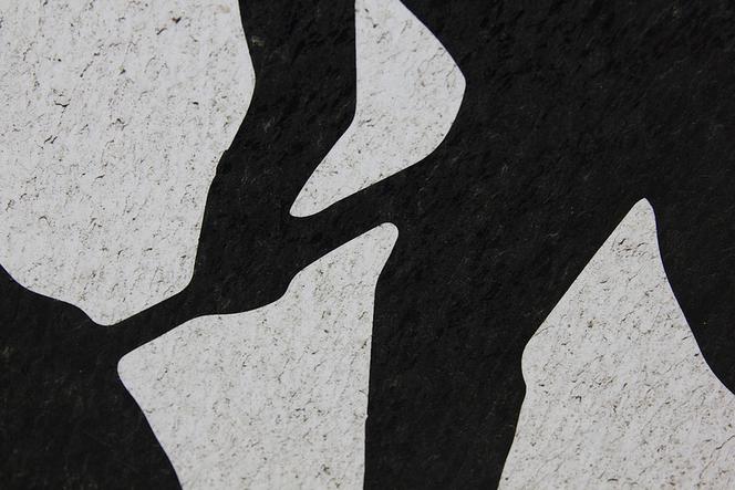 Błota po kostki, dziury i wyrwy! Kiedy skończy się remont ul. Stary Młyn?
