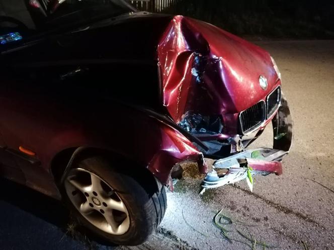 Pies wyskoczył wprost pod koła BMW. Matka z dziećmi zjechała do rowu [ZDJĘCIA]