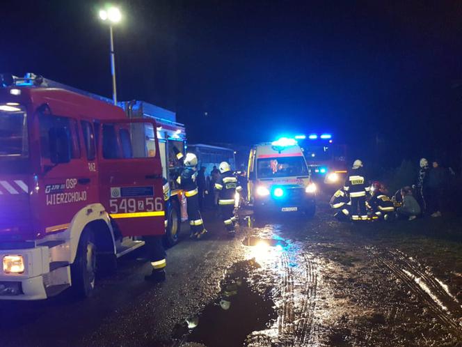 Autobus z dziećmi uderzył w drzewo! Są ranni. Dramat w Trzebiechowie [GALERIA]