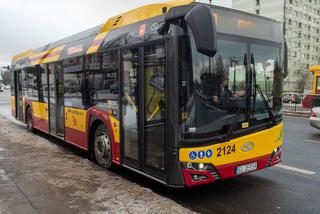 Na ulice Łodzi wyjechały nowe hybrydowe autobusy. Na jakich liniach kursują?