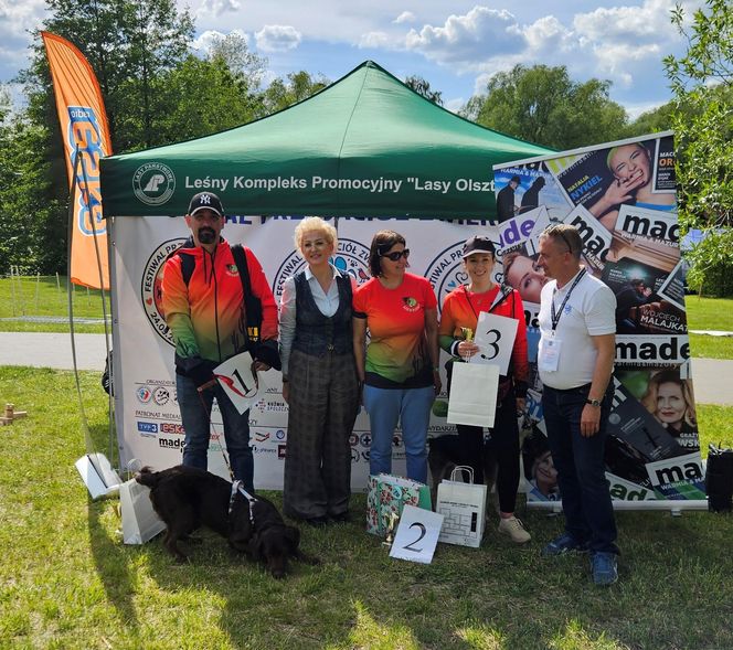 Festiwal Przyjaciół Zwierząt w Olsztynie. Park Centralny opanowały radosne pieski