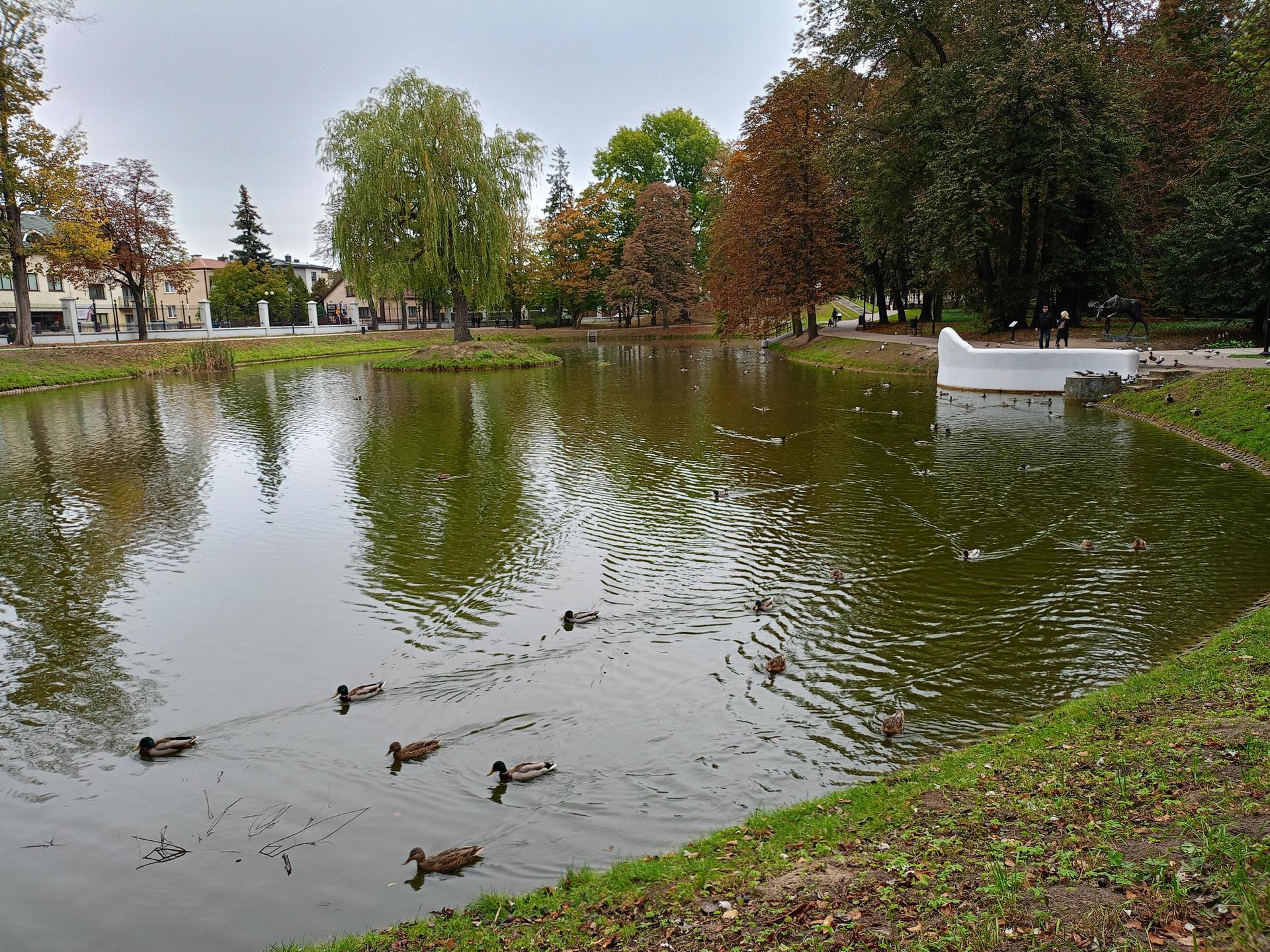Siedlecki Park Aleksandria Zach ca Do Jesiennych Spacer w Siedlce siedlecki-park-aleksandria-zach-ca-do-jesiennych-spacer-w-siedlce