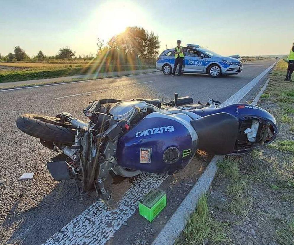 Lubelskie. Wypadki z udziałem łosi. Nie żyje jedna osoba