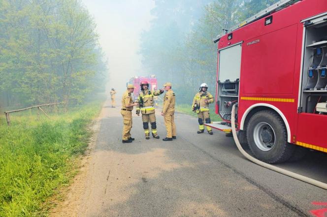 Pożar lasu w Snochowicach