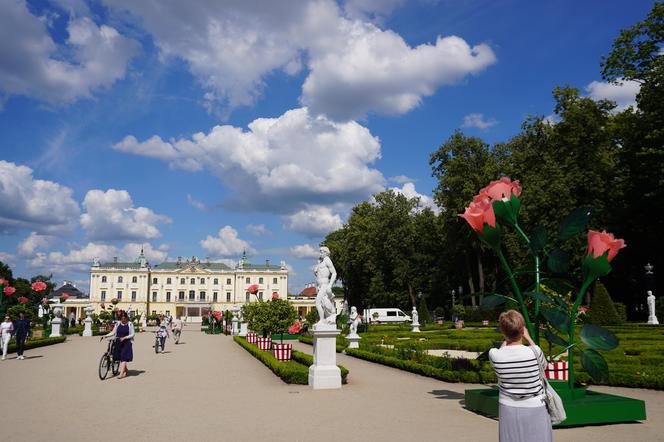 Nowa instalacja artystyczna przy Pałacu Branikich w Białymstoku