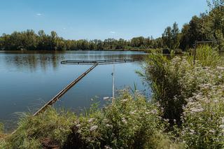Balaton to zbiornik wodny w dzielnicy Sosnowca -  Porąbce.  Ma około 10 ha powierzchni