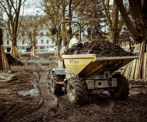 Modernizacja Parku Staromiejskiego w Łodzi