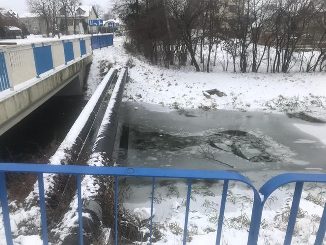 Pies topił się w rzece. Na pomoc ruszyło kilku nastolatków